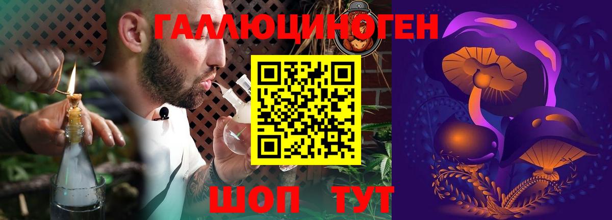 Галлюциногенные грибы мухоморы Урус-Мартан